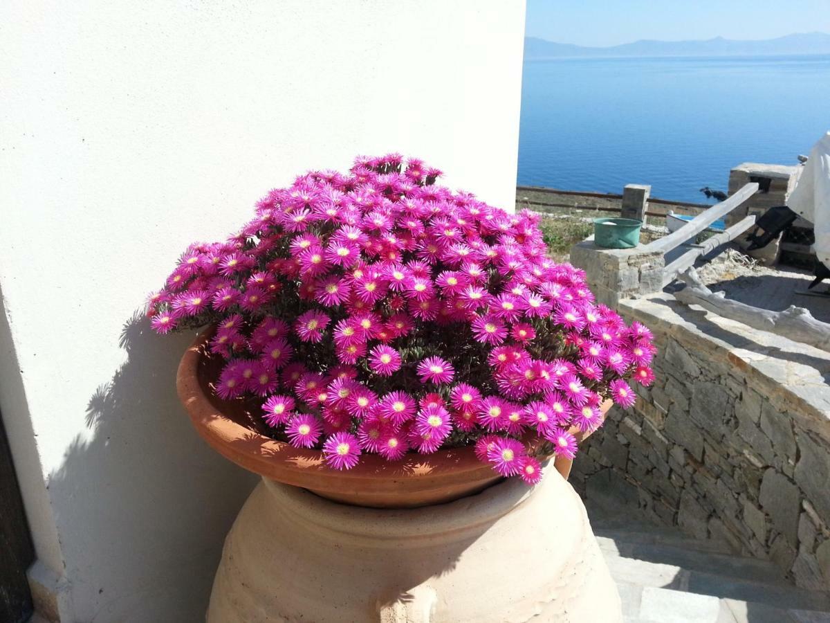 Aegean View - Seaside Apartment In Syros Azolimnos Eksteriør bilde